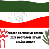 europe-dachshund-troph-2024-mogyorosi-istvan-emlekverseny-2-crop